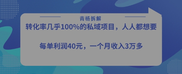 转化率最高的私域项目，每单利润40-50米，月入过1w-二当家网创资源站