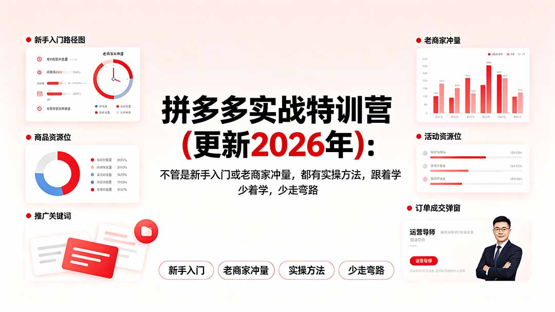拼多多实战特训营(更新2026年-二当家网创资源站