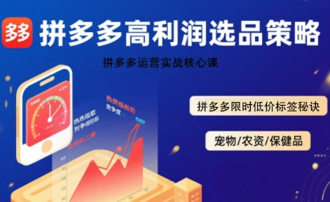 拼多多选品暴利技术实战课，拼多多高利润选品策略，拼多多限时低价标签秘诀-二当家网创资源站