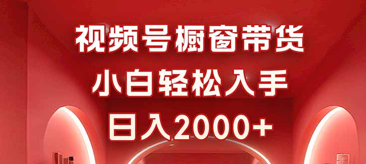 视频号橱窗带货，小白轻松入手，日入2000+-二当家网创资源站