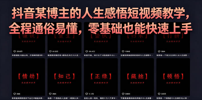 抖音某博主的灰太狼人生感悟短视频教学，全程通俗易懂，零基础也能快速上手-二当家网创资源站