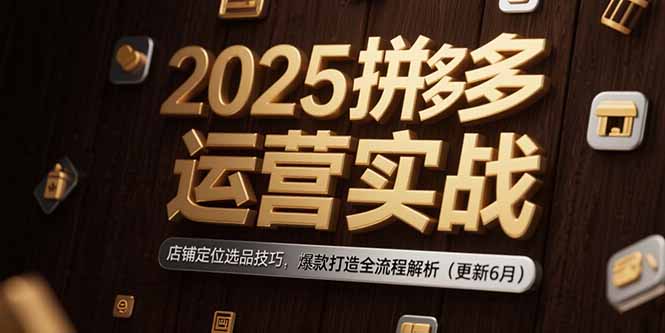 2025拼多多运营实战：店铺定位选品技巧，爆款打造全流程解析(更新6月-二当家网创资源站