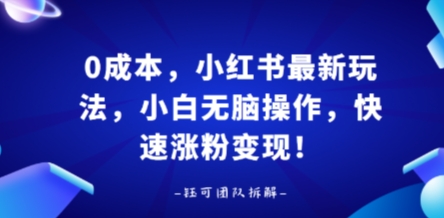 0成本，小红书最新玩法，小白无脑操作，快速涨粉变现-二当家网创资源站