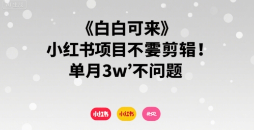 小白可来 小红书项目不需要剪辑 单月3w不是问题-二当家网创资源站