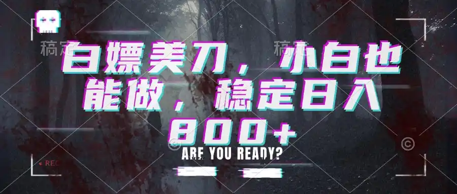 白嫖美刀,小白也能做,稳定日入800+-二当家网创资源站