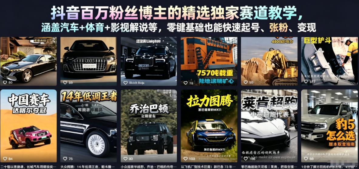 抖音百万粉丝博主的精选独家赛道教学，涵盖汽车+体育+影视解说等，零基础也能快速起号、涨粉、变现-二当家网创资源站