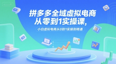 拼多多全域虚拟电商从零到1实操课，小白虚拟电商从0到1实操到精通-二当家网创资源站