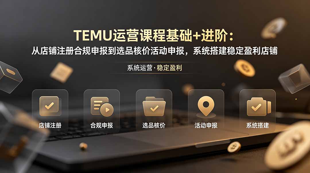 TEMU运营课程(基础+进阶-二当家网创资源站