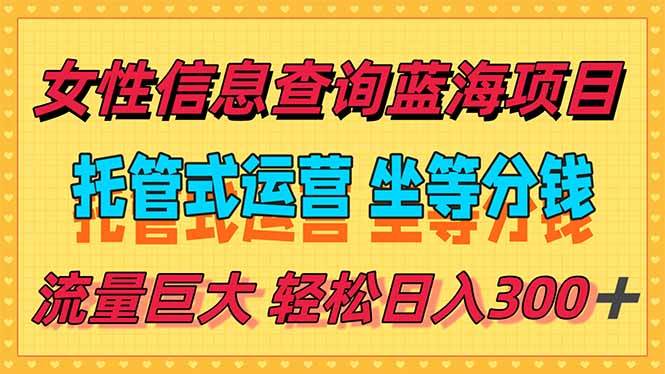 （15216期）稳定日入300＋，小众信息查询蓝海项目，全程懒人式托管，解放你的时间-二当家网创资源站