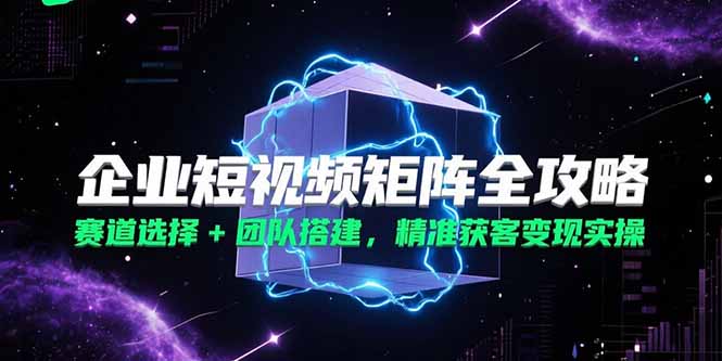 企业短视频矩阵全攻略，赛道选择+团队搭建，精准获客变现实操-二当家网创资源站