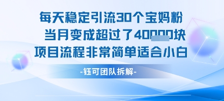 每天稳定引流30个人 当月变成超过了4个W项目流程非常简单适合小白-二当家网创资源站