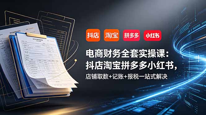 电商财务全套实操课:抖店淘宝拼多多小红书,店铺取数+记账+报税一站式解决-二当家网创资源站