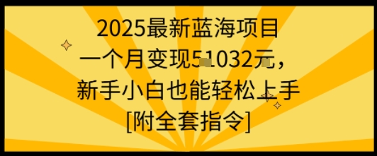 2025最新蓝海项目一个月变现1w+新手小白也能轻松上手【附全套指令】-二当家网创资源站