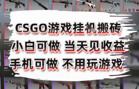 CSGO游戏挂G搬砖，小白纯手机即可操作，不用电脑打游戏，日入3张+，副业网创项目【揭秘】-二当家网创资源站