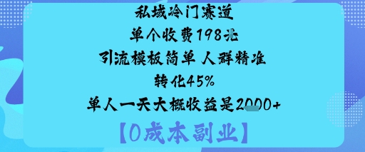 私域冷门赛道:单个收费198米引流模板简单人群精准转化45%单人一天大概收益是1k+-二当家网创资源站