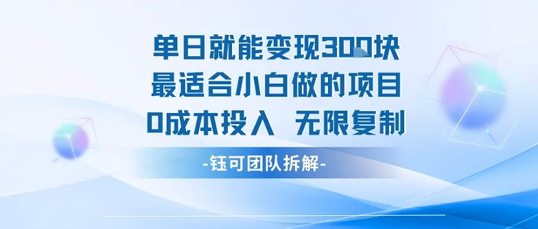 单日就能变现3张最适合小白做的项目0成本投入 无限复制-二当家网创资源站