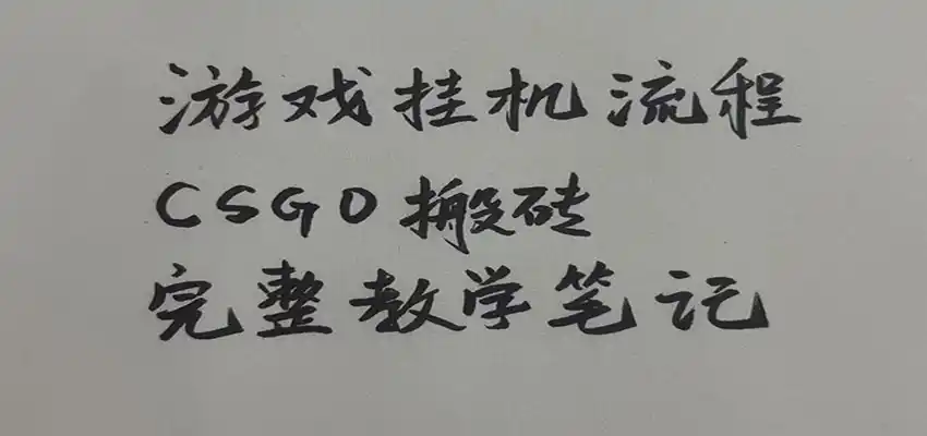 游戏挂机全流程笔记分享，CSGO游戏搬砖，小白看了当天学会见收益-二当家网创资源站