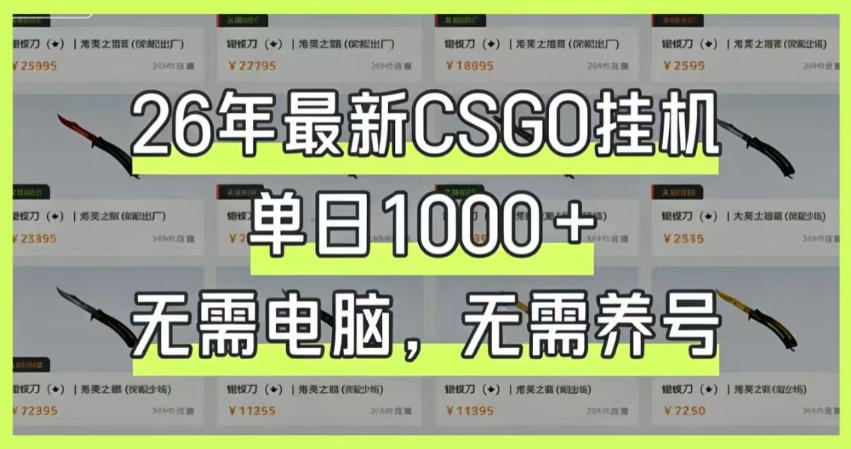 26年最新CSGO挂G系统,单日1000+,无需电脑,无需养号,0基础可上手【揭秘】-二当家网创资源站