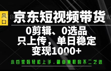 你出账号，我来运营，保底日入1k+，开启躺賺模式【揭秘】-二当家网创资源站