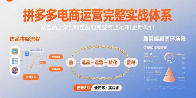 拼多多电商运营完整实战体系，从选品上架到稳定盈利完整商业闭环(更新8月-二当家网创资源站
