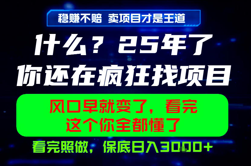 26年,请不要疯狂的找项目做了!卖项目才是真的稳賺不赔,看完照做,保底日入1k+【揭秘】-二当家网创资源站