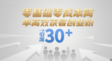零基础零成本简单高效获客创业粉，一天引流30+-二当家网创资源站