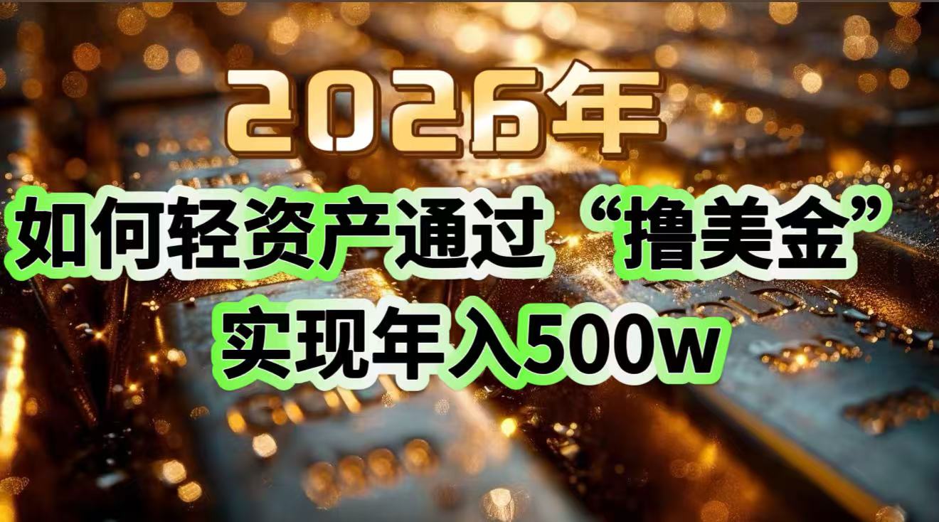 2026年如何轻资产通过“撸美金”实现年入500w-二当家网创资源站