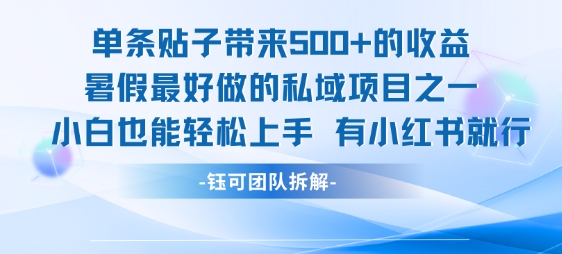 单条贴子带来5张的收益，暑假最好做的私域项目之一，小白也能轻松上手，有小红书就行-二当家网创资源站
