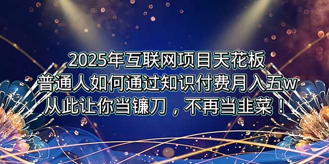 2025年互联网项目天花板，普通人如何通过卖项目实现逆风翻盘，月入5W＋！-二当家网创资源站