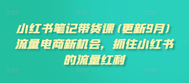 小红书笔记带货课(更新25年6月)流量电商新机会，抓住小红书的流量红利-二当家网创资源站