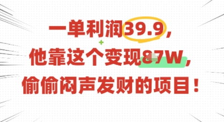 一单利润39.9，有人靠这个变现几十个，偷偷闷声发财的项目-二当家网创资源站