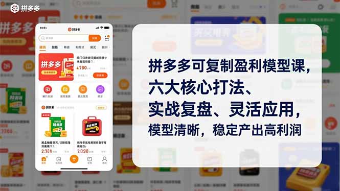 拼多多可复制盈利模型课，六大核心打法、实战复盘、灵活应用，模型清晰，稳定产出高利润-二当家网创资源站