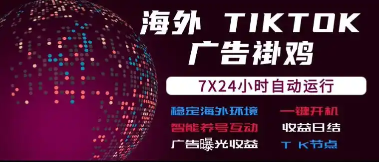 海外TikTok挂G流量变现,7X24自动运行,广告曝光收益,收益日结【揭秘】-二当家网创资源站
