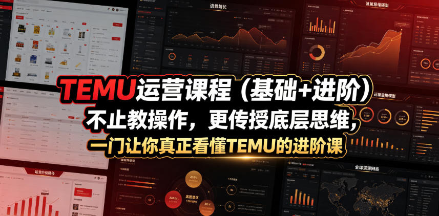 TEMU运营课程(基础+进阶)，不止教操作，更传授底层思维，一门让你真正看懂TEMU的进阶课-二当家网创资源站