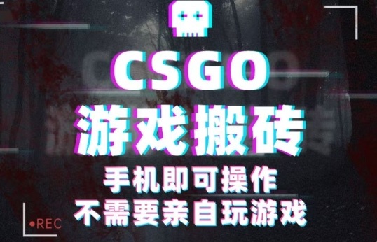 CSGO游戏挂G捡漏，单日扫货5张+，年底小高峰上车可吃肉，手机即可操作，兼职副业创业网创【揭秘】-二当家网创资源站