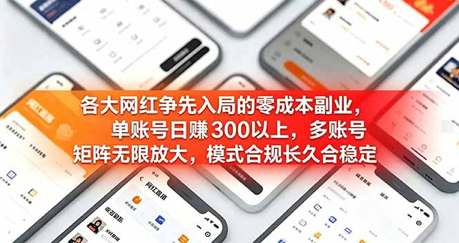 各大网红争先入局的零成本副业，单账号日赚 300 以上，多号矩阵可放大，模式合规长久稳定！-二当家网创资源站