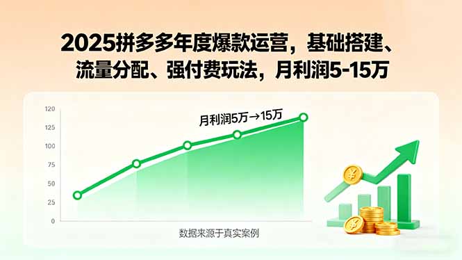 2025拼多多年度爆款运营，基础搭建、流量分配、强付费玩法，月利润5-15万-二当家网创资源站