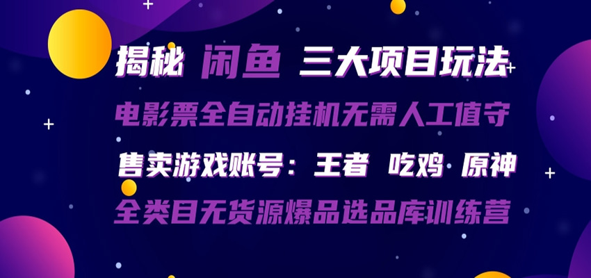 闲鱼三种玩法 全自动电影票 售卖游戏账号 爆品选品库训练营-二当家网创资源站