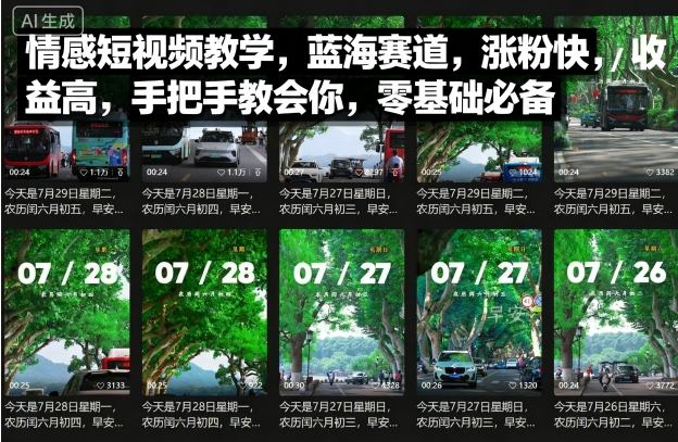 情感短视频教学，蓝海赛道，涨粉快，收益高，手把手教会你，零基础必备-二当家网创资源站