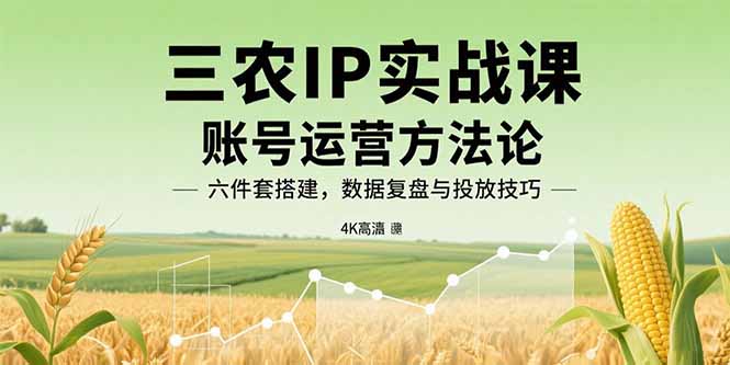 三农IP实战课：账号运营方法论，六件套搭建，数据复盘与投放技巧-二当家网创资源站