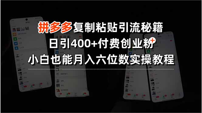 拼多多复制粘贴引流秘籍，日引400+付费创业粉，小白也能月入六位数实操…-二当家网创资源站