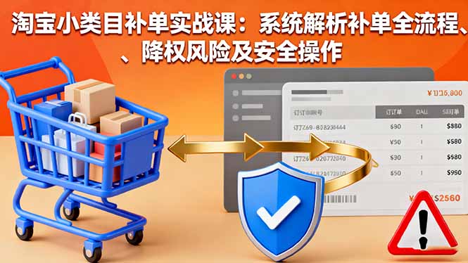淘宝小类目补单实战课：系统解析补单全流程、降权风险及安全操作-二当家网创资源站