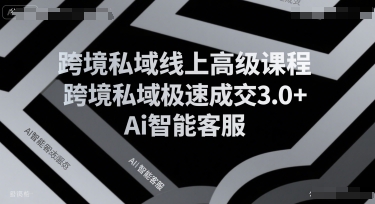 跨境私域线上高级课程，跨境私域极速成交3.0+Ai智能客服-二当家网创资源站