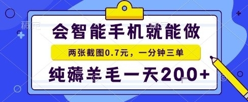 手机项目,二十秒一单,纯薅羊毛一天2张+做就有【揭秘】-二当家网创资源站