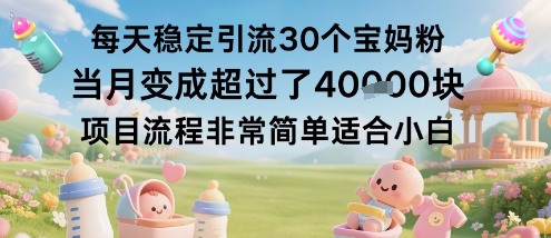 每天稳定引流30个宝妈粉当月变成超过了1W+项目流程非常简单适合小白-二当家网创资源站