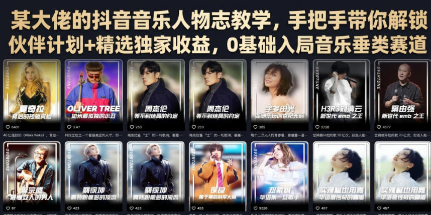 某大佬的抖音音乐人物志教学,手把手带你解锁伙伴计划+精选独家收益,0基础入局音乐垂类赛道-二当家网创资源站