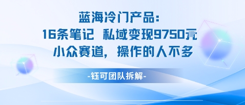 蓝海项目：16条笔记私域变现9750米小众赛道操作的人不多-二当家网创资源站