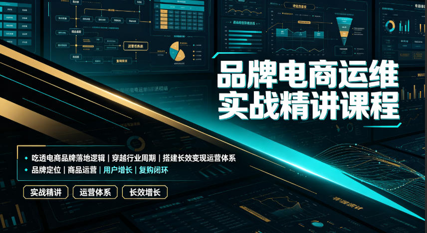 品牌电商运维实战精讲课程｜吃透电商品牌落地逻辑、穿越行业周期、搭建长效变现运营体系-二当家网创资源站