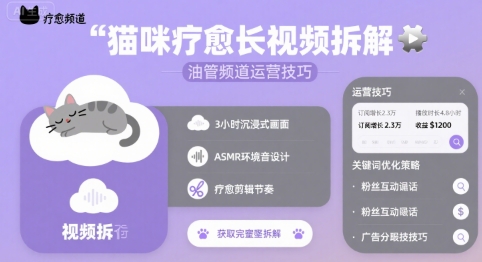 猫咪疗愈长视频拆解 &油管频道运营技巧-二当家网创资源站