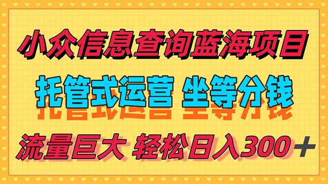 稳定日入300＋，小众信息查询蓝海项目，全程懒人式托管，解放你的时间-二当家网创资源站